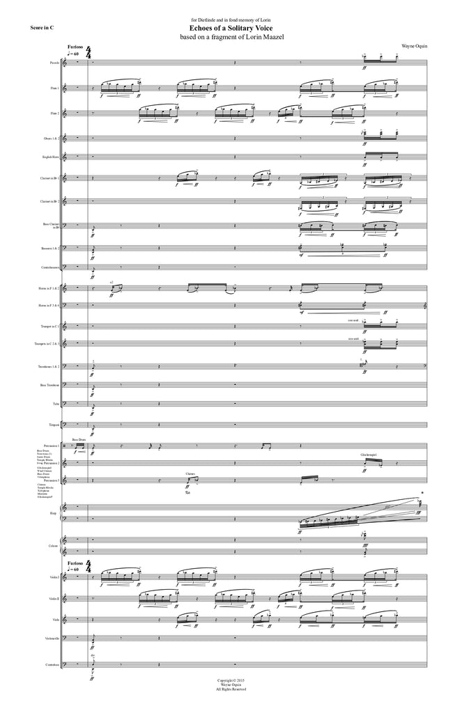 Echoes of a Solitary Voice (Score Only)