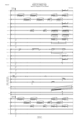 Echoes of a Solitary Voice (Score Only)